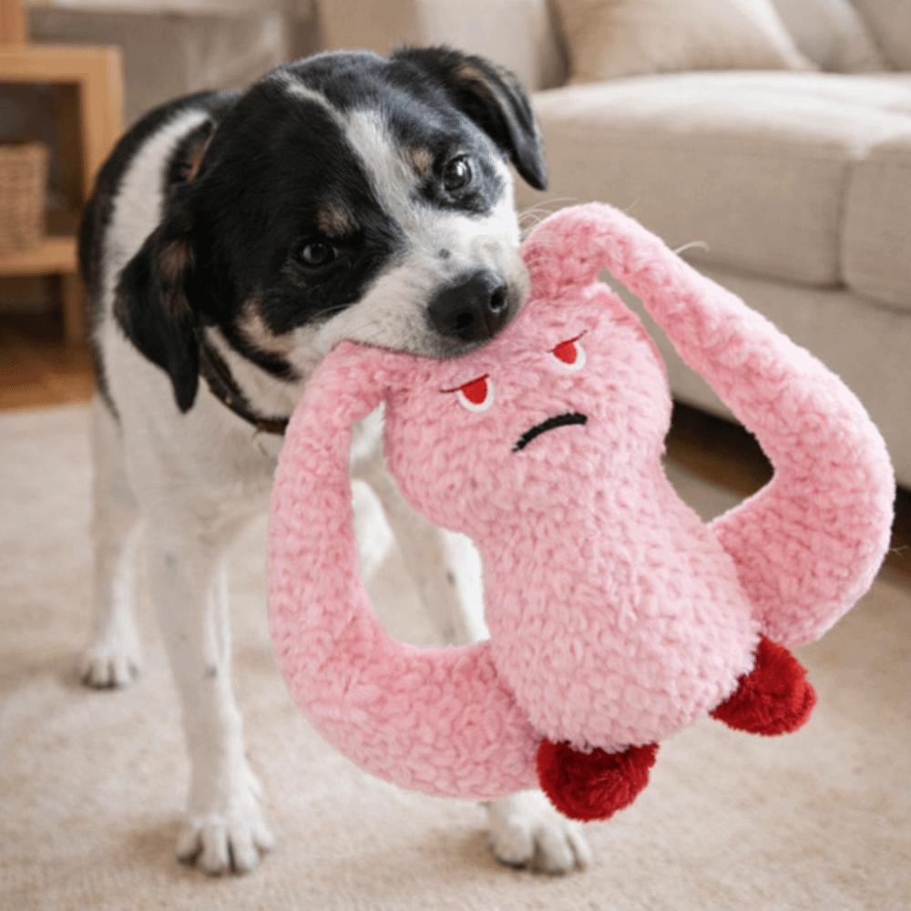 Long Eared Rabbits Pet Plush Toys Bite-Resistant Squeaky Dog Toys Dog Chew Toys  Interactive Play