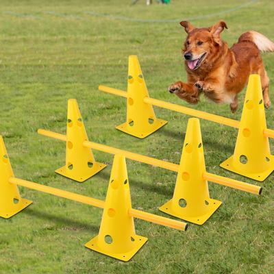 Zestaw pachołków do agility dla psów Pachołki treningowe do piłki nożnej do ćwiczeń koszykówki