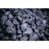 Xinjiang Coal