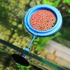 Clearance Small Aquarium Fish Feeding Ring