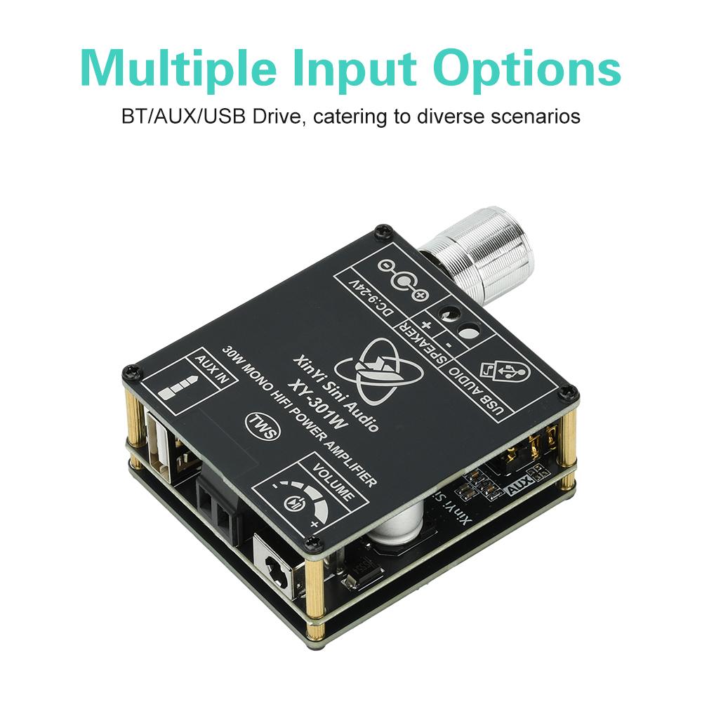 XY-301W Mono 30W Bluetooth Digital Audio Amplifier Board TWS True Wireless Stereo Audio for Speakers with DC 9-24V Support App