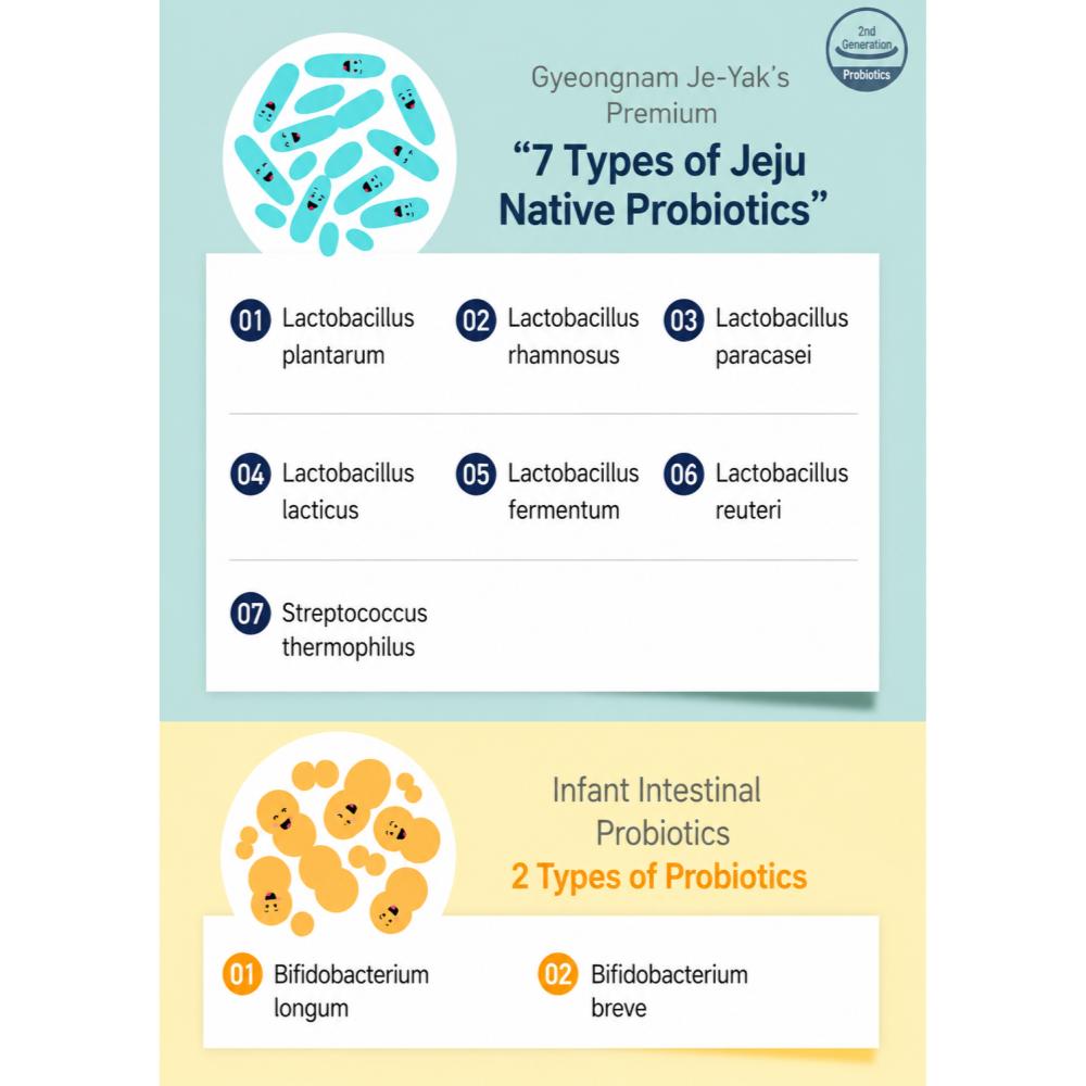 Lactotoc Probiotics 60stick 2types / Vitamin C / Immune (Vitamin C,D and Zinc)