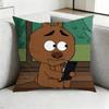 BrickleberryY    Humorous Animation Square DoubleSided printed Pillow Case Bedroom Bedside Pillow Sofa Cushion Cover Gift