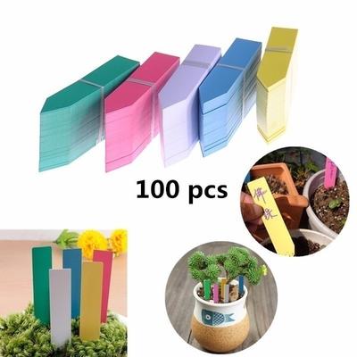 Candy Color 100pcs Home Bonsai Reusable Waterproof PVC Insert Land Card Garden Category Labels