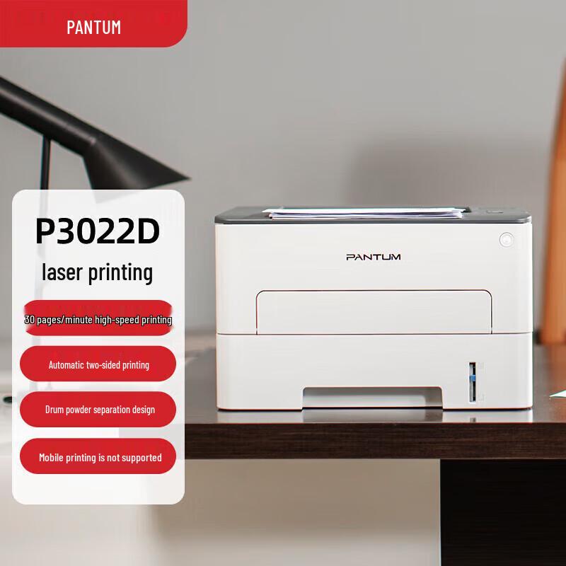 

Pantum P3022D Automatic Duplex Mono Laser Printer CN plug (adapter included)