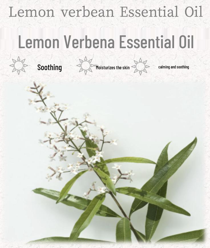 Moroccan Lemon Verbena Essential Oil Facial Serum for Aromatherapy and Moisturizing