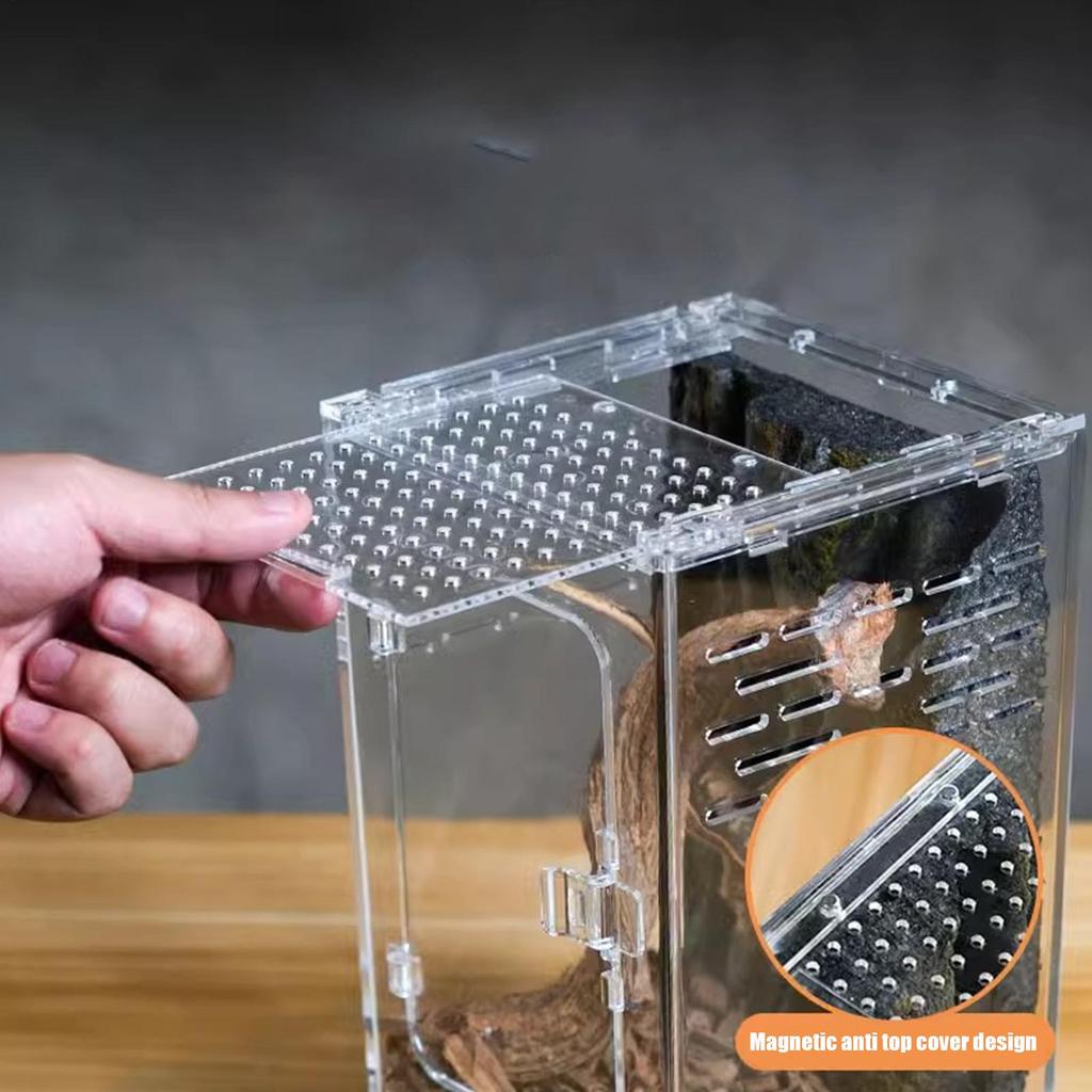 Jumping Spider Enclosure Breathable Comfortable Clear Acrylic Mantis Habitat Frog Enclosure for Lizards Small Turtles Snails