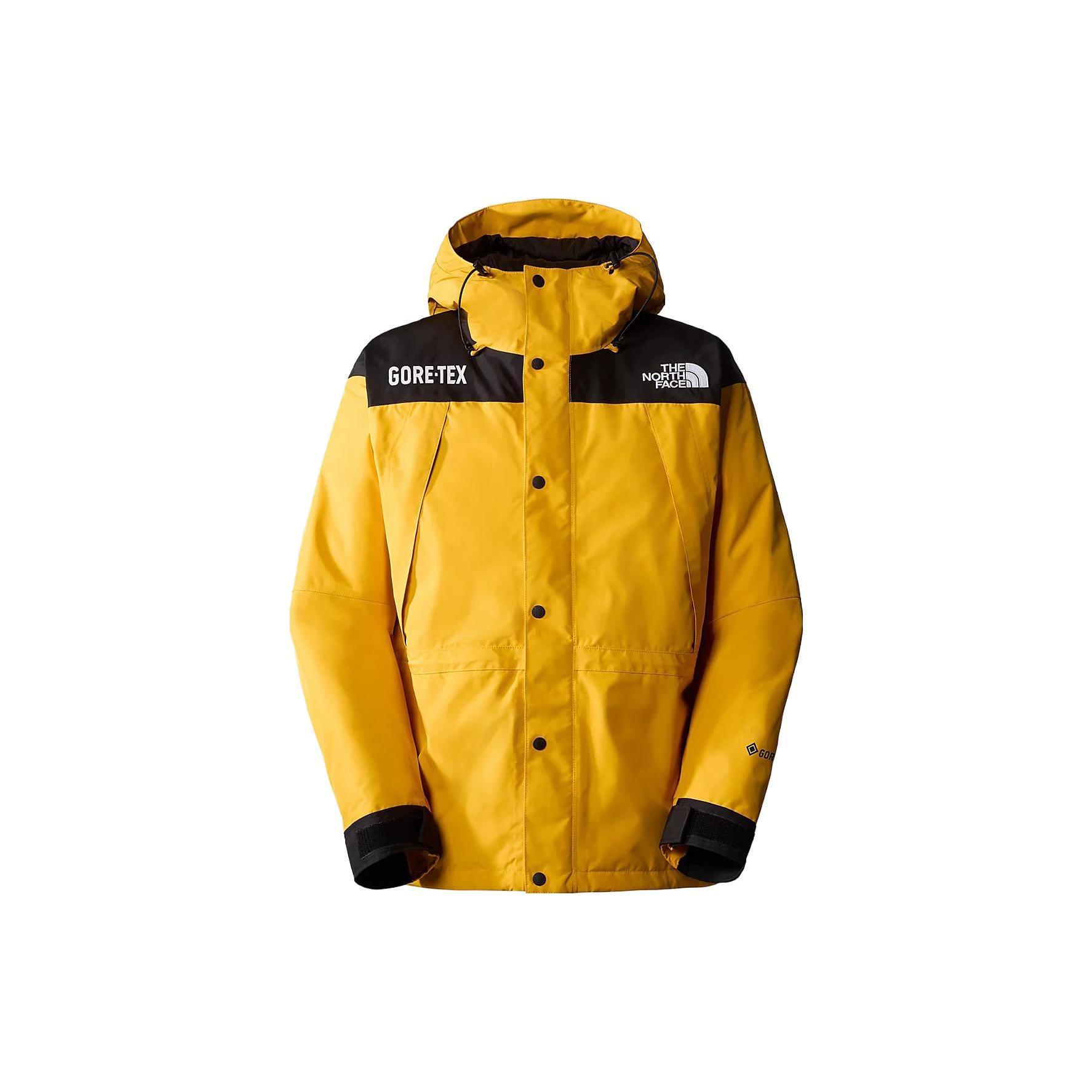 THE NORTH FACE Gore-Tex Mountain Guide