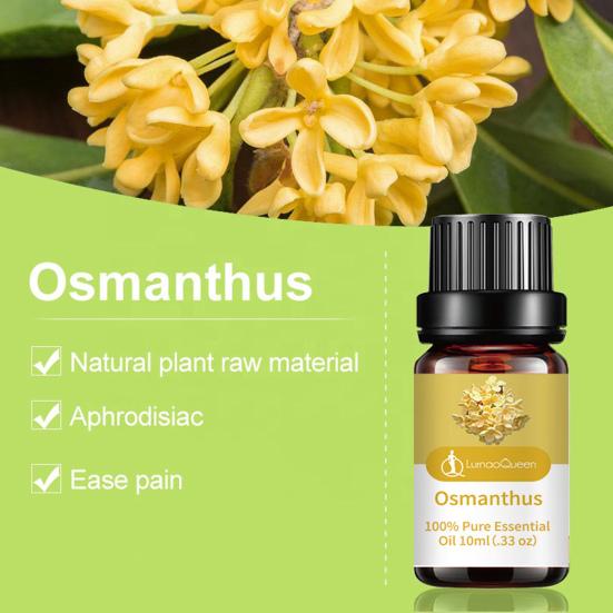 10ml Osmanthus Body Oil Massage Aromatherapy Moisturizing Plant Extracts Deep Penetration Beauty Care Essential Oil for Home