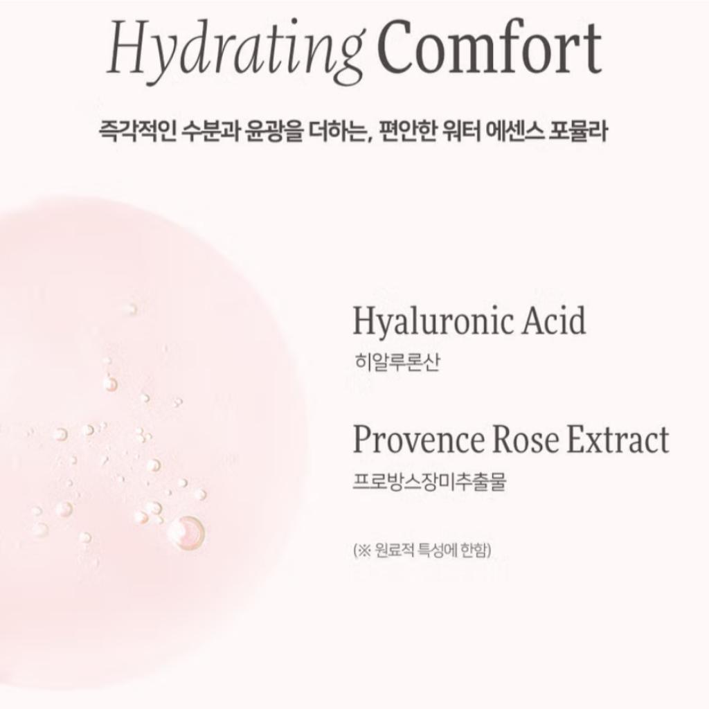 Dinto La Belle Rose Blush Líquido 10ml