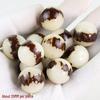 Vajra Star Moon Bodhi Beads - Raw Loose Beads for Handmade DIY Jewelry