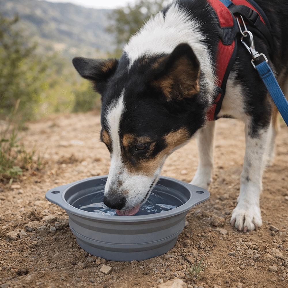 Large Capacity Foldable Silicone Bowl Double Ear Buckle Anti-slip Collapsible Dog Bowl Leak Proof Macaron Color