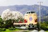KATO N Gauge 381 Series Yakumo Revival in JNR Set Scale Model Train Colors, 6-Car [Special Edition] 10-1780 1/150