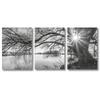 3pcs Poster Stunning Big Tree Lake Sunset Landscape Canvas Painting for Living Room Bedroom and Study Decoration Wall Posters