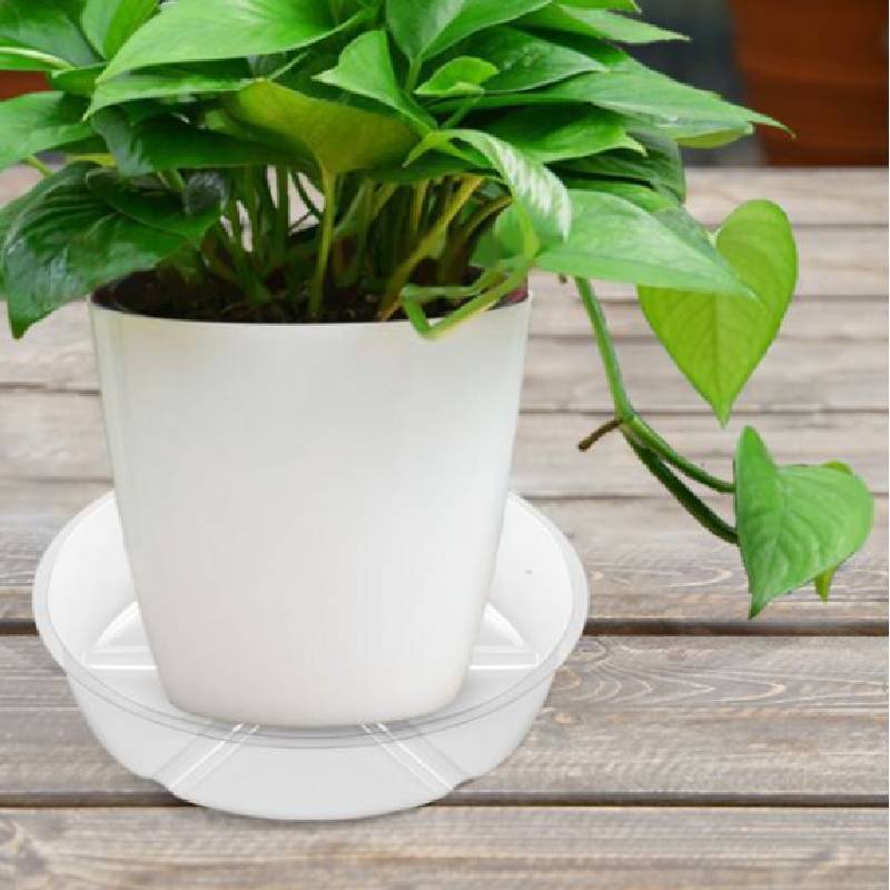 Plastic Flower Pot Tray With Pet Material And Dustproof Design For Garden And Home Use