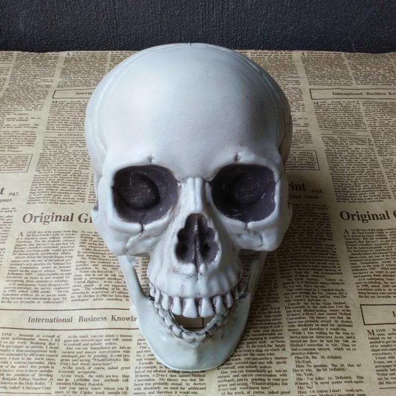 Realistic Human Skull Model - Halloween Decoration Prop for Haunted Houses - Creepy Skull Ornament  Convenient Home Decor