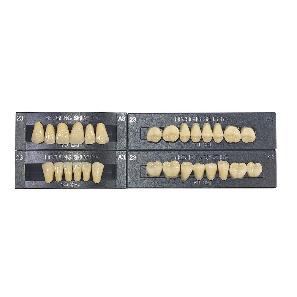 5 Sets/Box Dental Acrylic Resin Teeth 2 Layers Denture 28*1 Full Mouth S/M/L A2 A3 Stability Dentistry Material