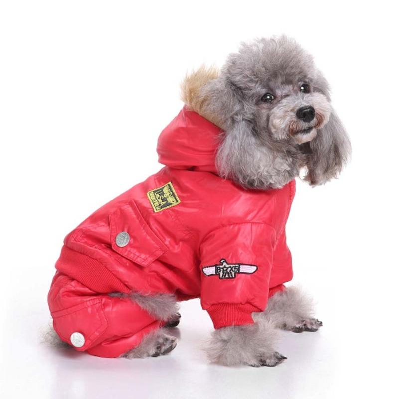 air force dog clothes