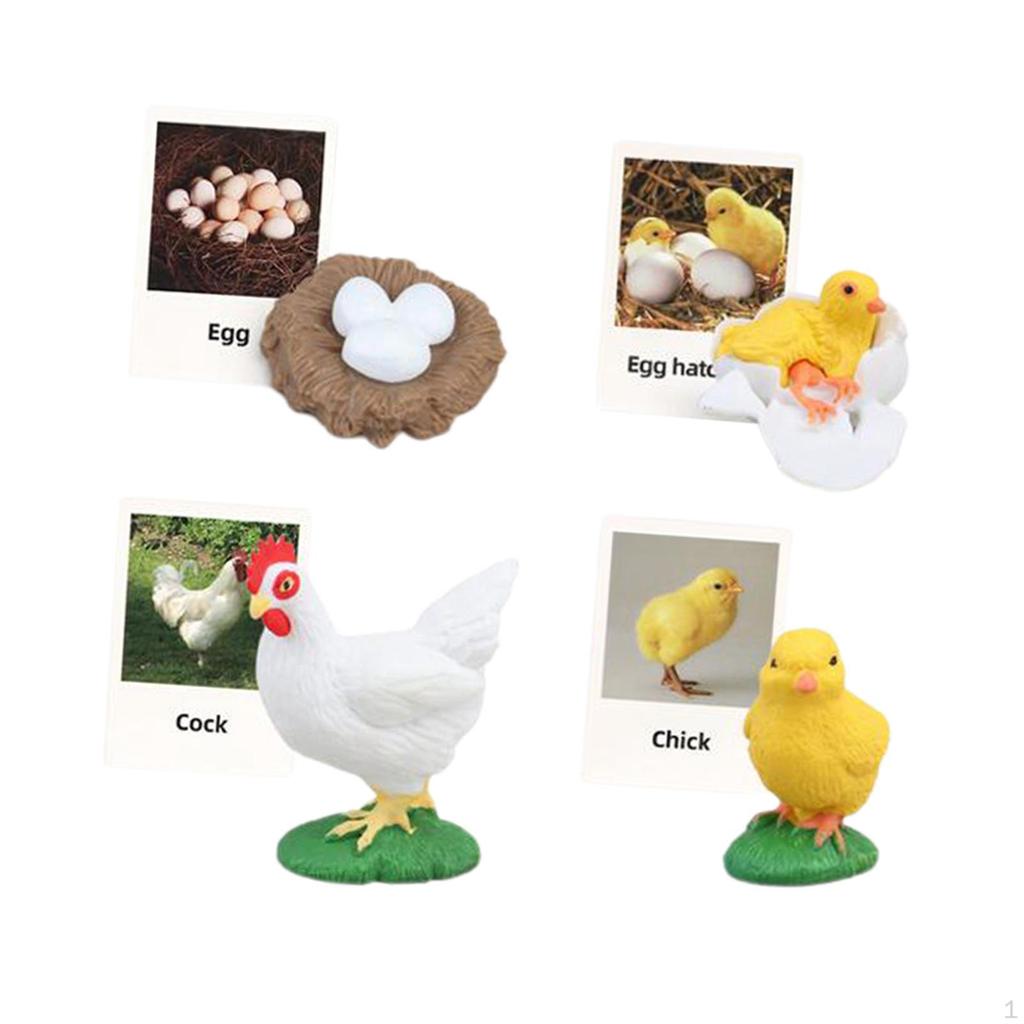 Educational Life Cycle Animal Figurines Set for Kids' Learning