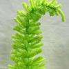 Lighted Pine Needle Christmas Tree Top Curved Artificial Green Xmas Tree with String Light for Tabletop Centerpiece Holiday Indoor Decor