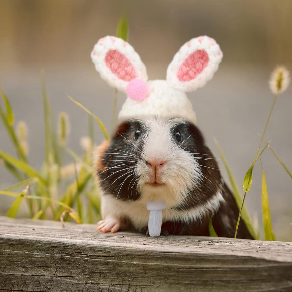 4 Pieces Hamster Hat Mini Small Animals Hat with Adjustable Strap Lovely Hand Knitted Frog Rainbow Carrot Tiny Hats for Lizard Guinea Pig Reptile