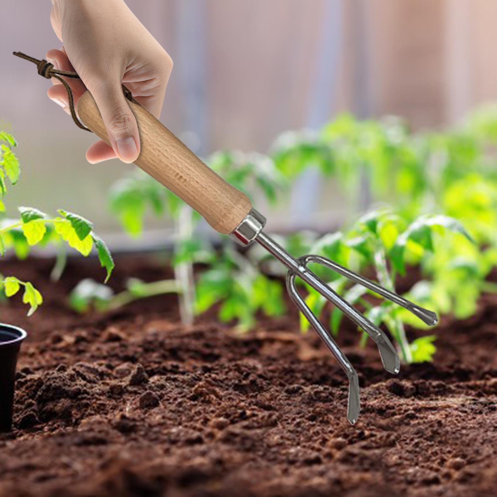 

Ручной культиватор-рыхлитель, экономящий труд, многоцелевой, портативный, 3-зубчатая грабля, садовый инструмент для газона