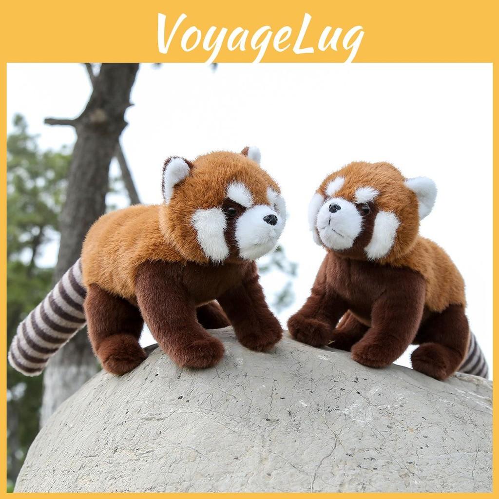Panda Raccoon Red Animal Plush Fluffy Exterior Children Room Decoration Comfort
