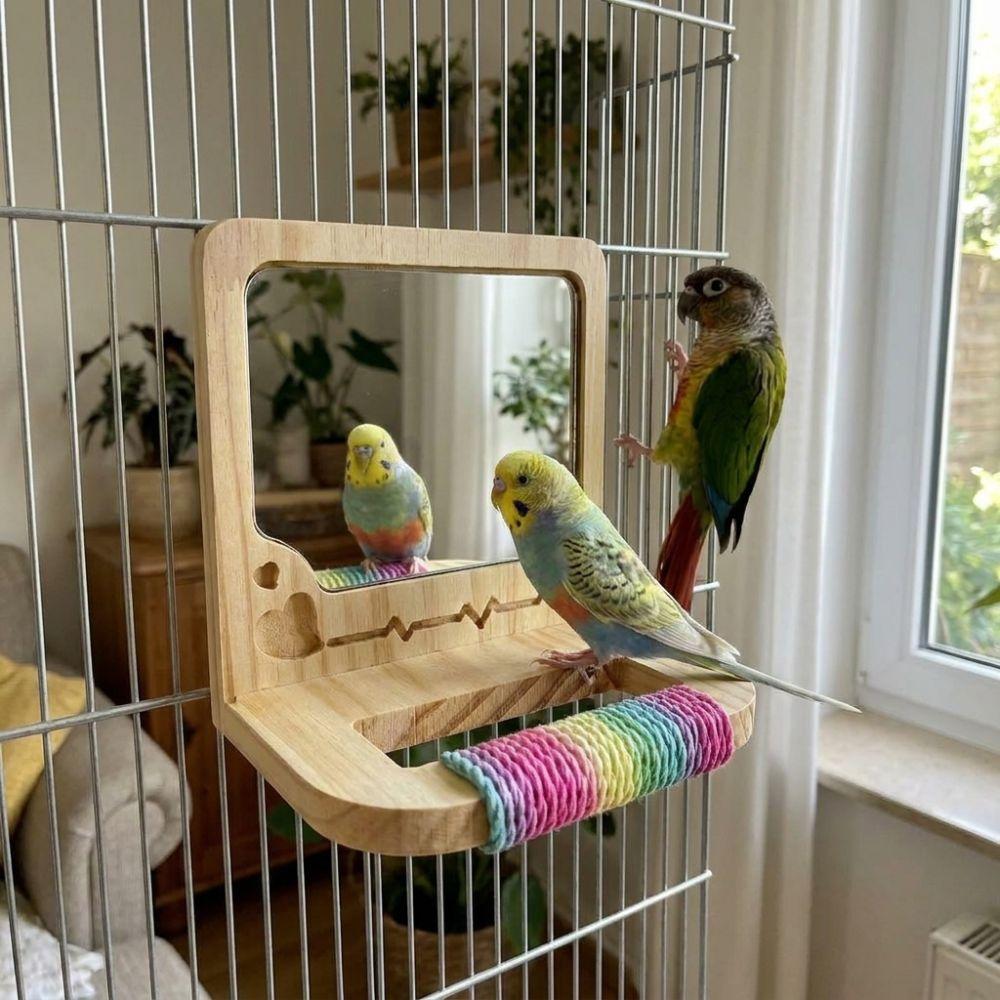Wear Resistant Bird Perch with Mirror Bite Resistant Interactive Parrot Biting Rod for Small Birds