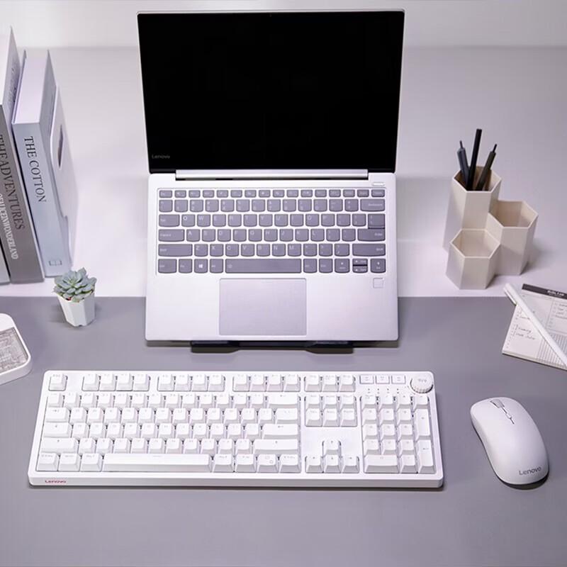 Lenovo M25 Ergonomic Wireless Silent Mouse