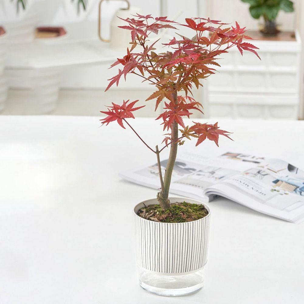 Green Plants Self-watering Plants Pot With Water Container Lazy Flower Pot Planter  Garden Supplies