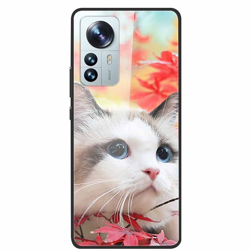 Tempered Glass Cases For Xiaomi 12T 5G Case Hard Phone Back Cover for Xiaomi 12T Pro Protection Shells Mi 12 T 12TPro 2022 Cool
