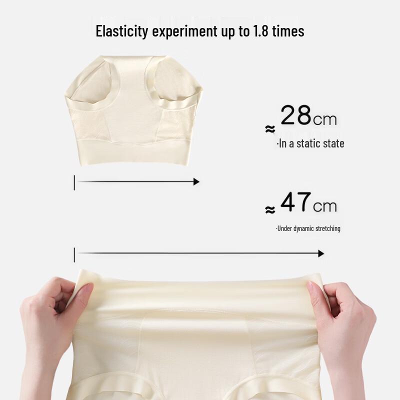 Tingmei Women's High-Waist Lace Seamless Briefs (3-Pack)