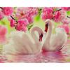 Pictură cu diamant 5D DIY Lebădă Mozaic Animal Rotund Broderie cu diamant Peisaj Stras lac