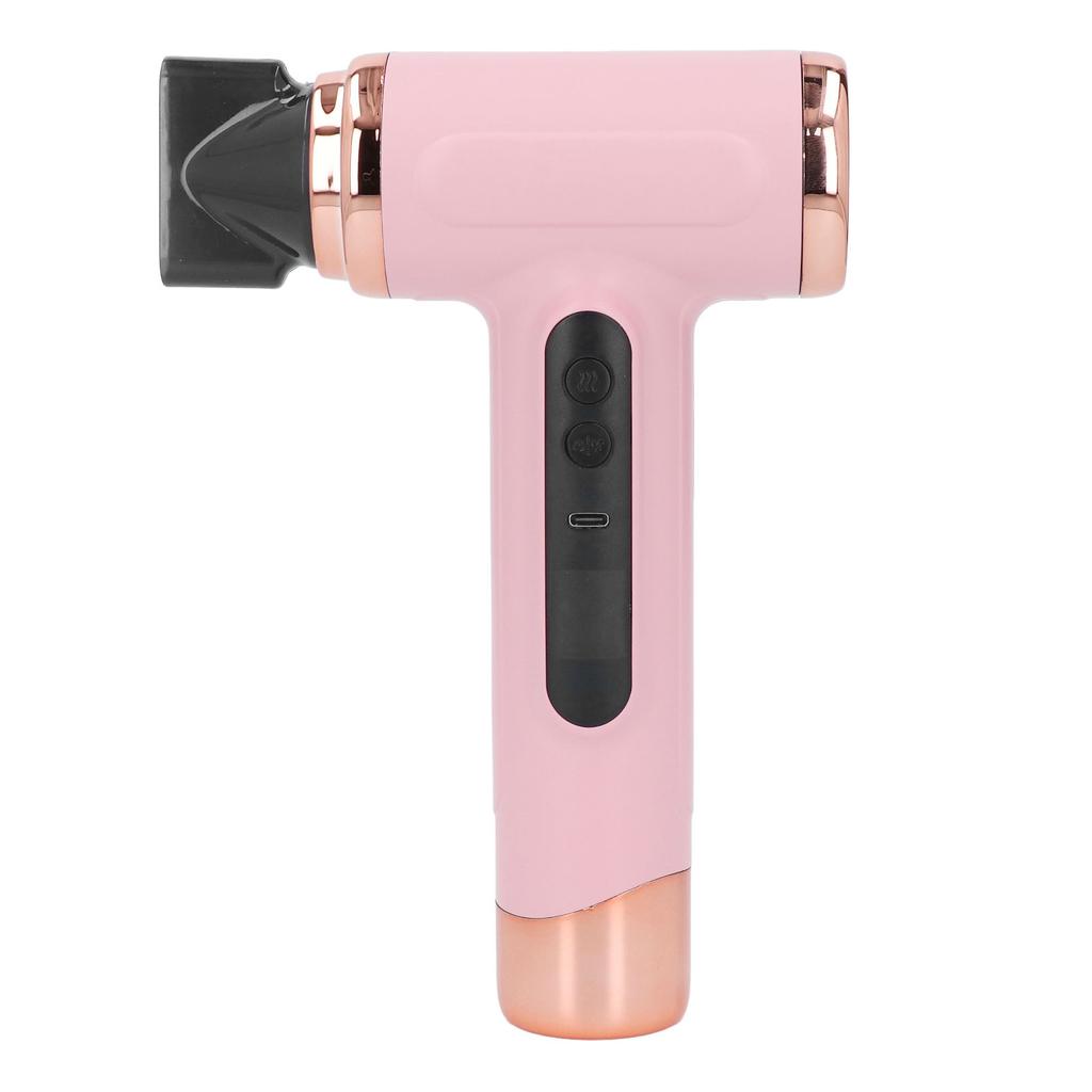 Hair Blow Dryer Wet and Dry Use 200W Powerful Hair Dryer Portable Multifunctional Pet Blow Dryer for Travel