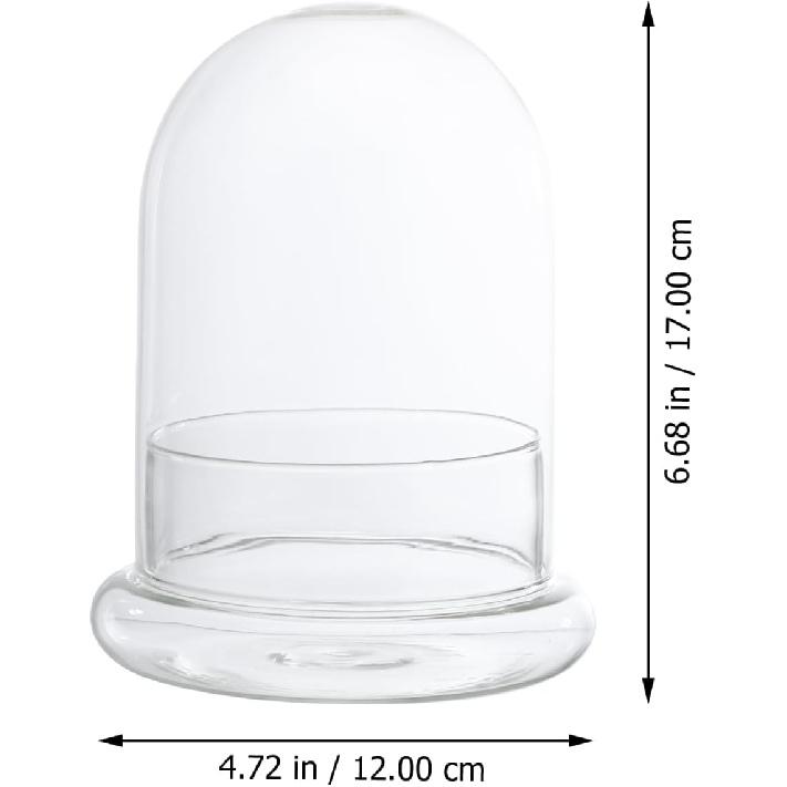 Hemoton Glass Display Dome,Clear Glass Dome for Micro Landscape DIY,Clear Cloche Bell Jar Terrarium Display Bottle,Decorative Case for Plants