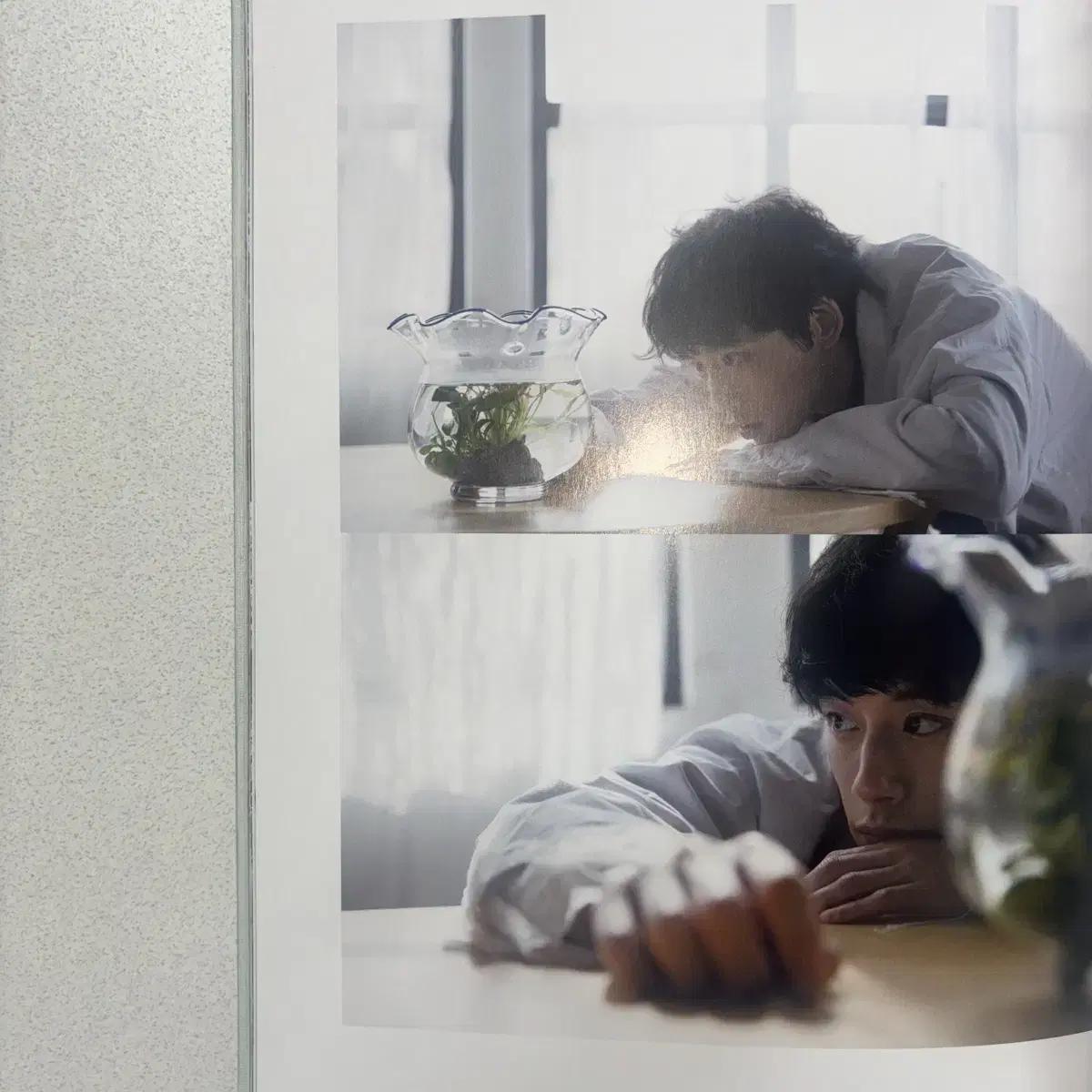

Kentaro Sakaguchi Photobook Photo Album