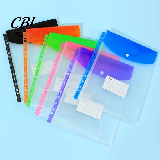 Binder Compatible Folder 11 Hole Clear File for A4 Binders, Colorful Plastic Document with Bag Snap Button & Label Slot, Transparent Project Organizer