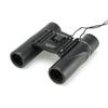 Kenko 12x25 DH Compact 12x 25mm Roof Concert Lightweight V-TEX Binoculars, Magnification, Aperture, Prism, Use, (249g), Dual-Axis, VT-1225D