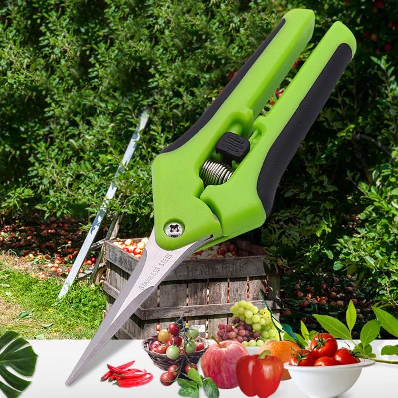 1pc Stainless Steel Garden Pruning Shears Tools Non-slip Labor-saving Flower Branch Branch Shears Fruit and Vegetable Shears