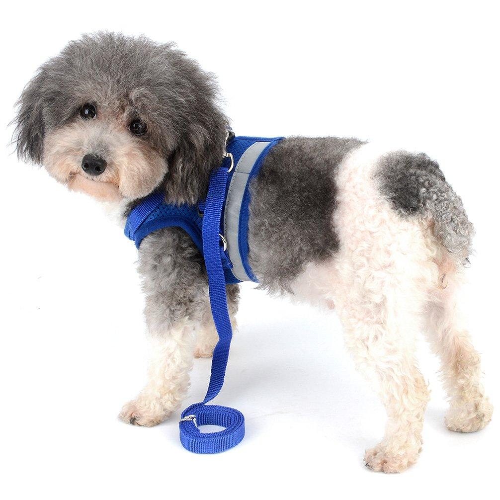 RANPHY Mesh Dog Harness with Reflective Leash Set for Extra and Perfect for and and Available in 4 Colors Small, Small, Puppies, Walks, Training,