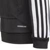 Adidas Grade School Sweatshirts Hooded Moderate GK9544