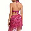 Sexy Tassel Belly Dance Costume For Women