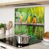 Tempered Multifunctional Decorative Glass Panels Parrot Branch 2X30X52 Cm