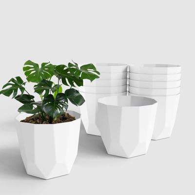 Hexa 6 Inch Pack of 12 Piece Plastic Plant Pot for Home Decor Indoor Plant Pots for Living Room Plastic Flower Pot for Garden (White)