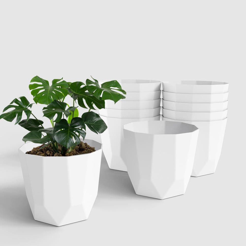 

Hexa 6 Inch Pack of 12 Piece Plastic Plant Pot for Home Decor Indoor Plant Pots for Living Room Plastic Flower Pot for Garden (White) PACK OF 12 белый