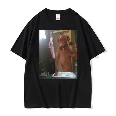 Koszulki i topy – T-shirty i koszulki