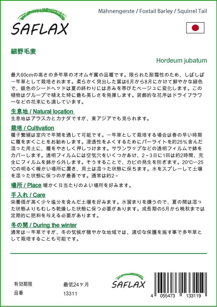 SAFLAX Garden in the Bag - Coada de vulpe Orz / Coada de veverita - 70 de seminte - Cu substrat intr-o punga potrivita - Hordeum jubatum