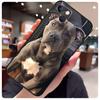 Pit Bull Chien Mignon Pitbull Étui Pour iPhone 14 Pro Max 16 15 11 12 13 17 Pro Max mini 15 16 Plus 16e 17 Air Housse de Téléphone