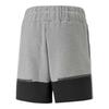 Puma Mens Teamcup Football Shorts