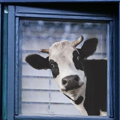 Sticker de perete Decor Funny Cow Tapet pentru fereastră din sticlă pentru dulap pentru creșă